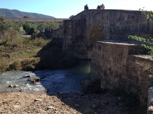 Day (Día) 5: Rio (River) Salado - where I sat down and wrote my reflection (en donde tuve que pararme, sentarme y escribir)