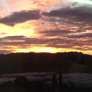 Sunrise heading to Zaragoza Amanecer viajando a Zaragoza